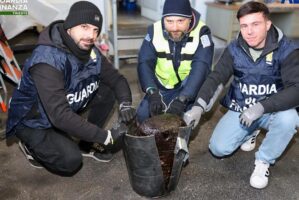 Oppio sul camion dal Medio Oriente a Trieste