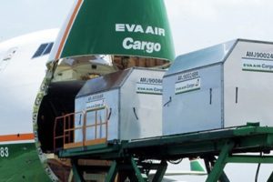 Eva Air ed Egas rinnovano la certificazione Ceiv Pharma