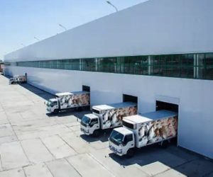 La logistica del freddo italiana tra costi energia e regole inadeguate