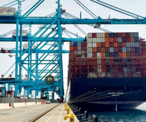Accelerazione strutturale dei noli container
