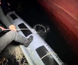 Scoperti 400 g di coca in tre operazioni a Gioia Tauro