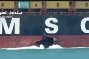 Portacontainer Msc colpita nel Golfo Persico