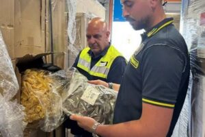 Sequestro di oltre 770 chili di marijuana al porto di Genova
