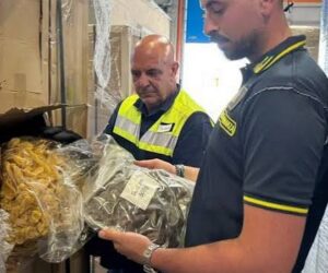 Sequestro di oltre 770 chili di marijuana al porto di Genova
