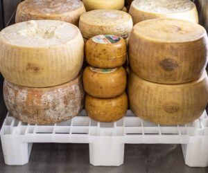 Un nuovo pallet in plastica per alimentari